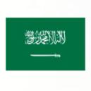 沙特阿拉伯U17 沙特阿拉伯U17